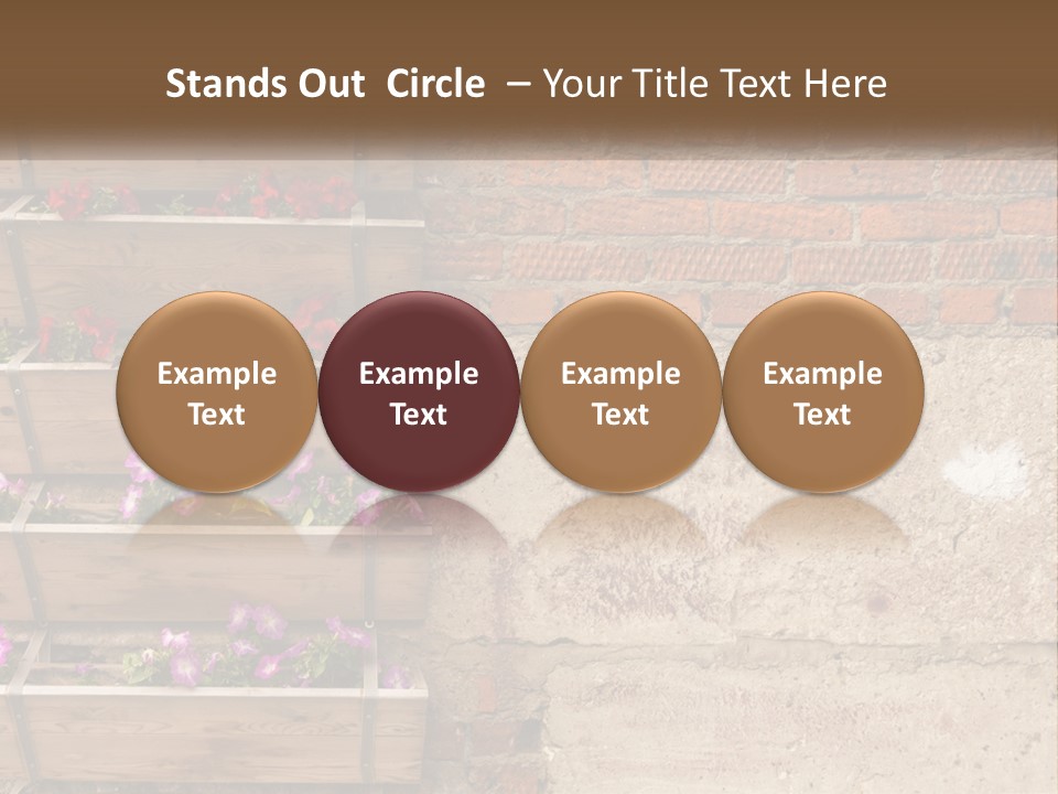 A Brick Wall With A Wooden Shelf Filled With Flowers PowerPoint Template