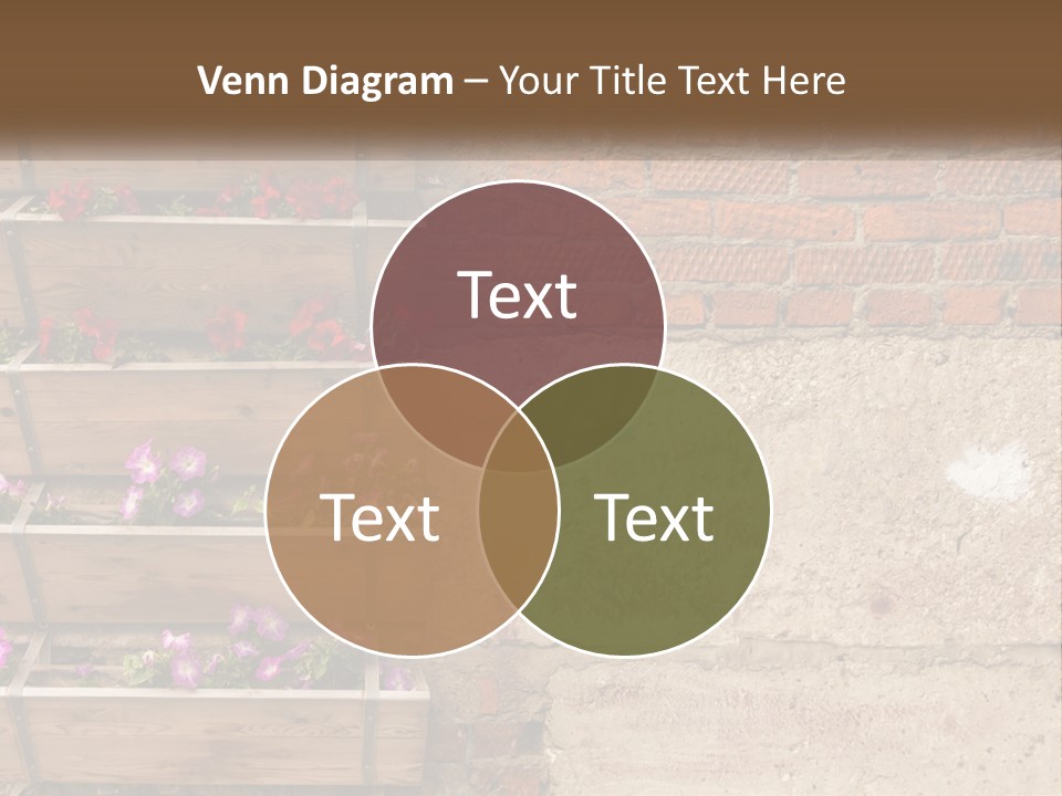 A Brick Wall With A Wooden Shelf Filled With Flowers PowerPoint Template