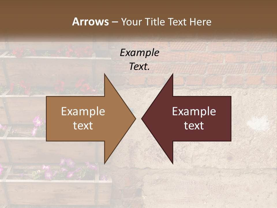 A Brick Wall With A Wooden Shelf Filled With Flowers PowerPoint Template