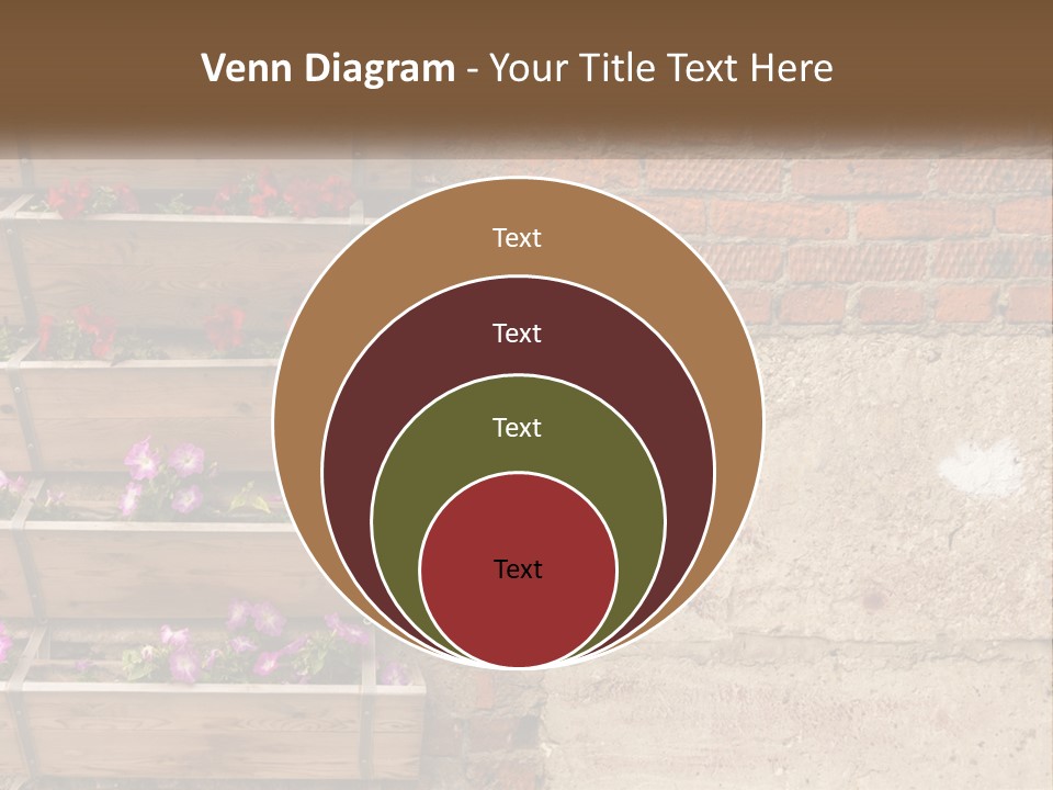 A Brick Wall With A Wooden Shelf Filled With Flowers PowerPoint Template