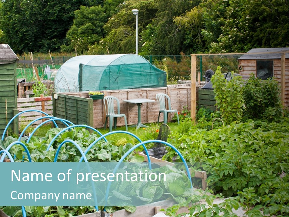A Garden Filled With Lots Of Green Plants PowerPoint Template