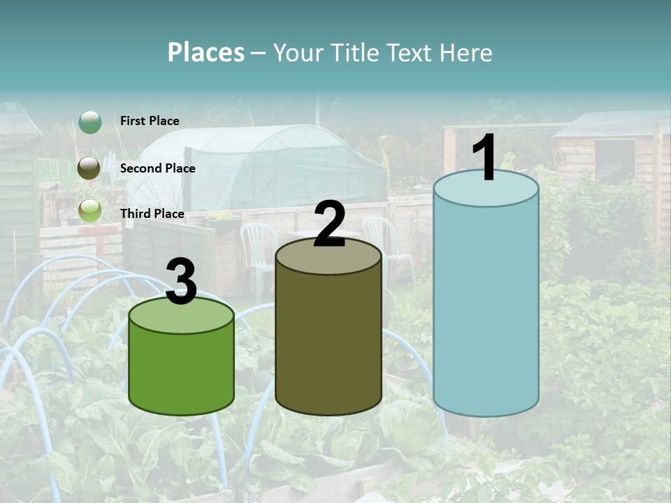 A Garden Filled With Lots Of Green Plants PowerPoint Template