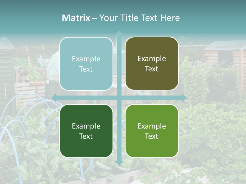 A Garden Filled With Lots Of Green Plants PowerPoint Template