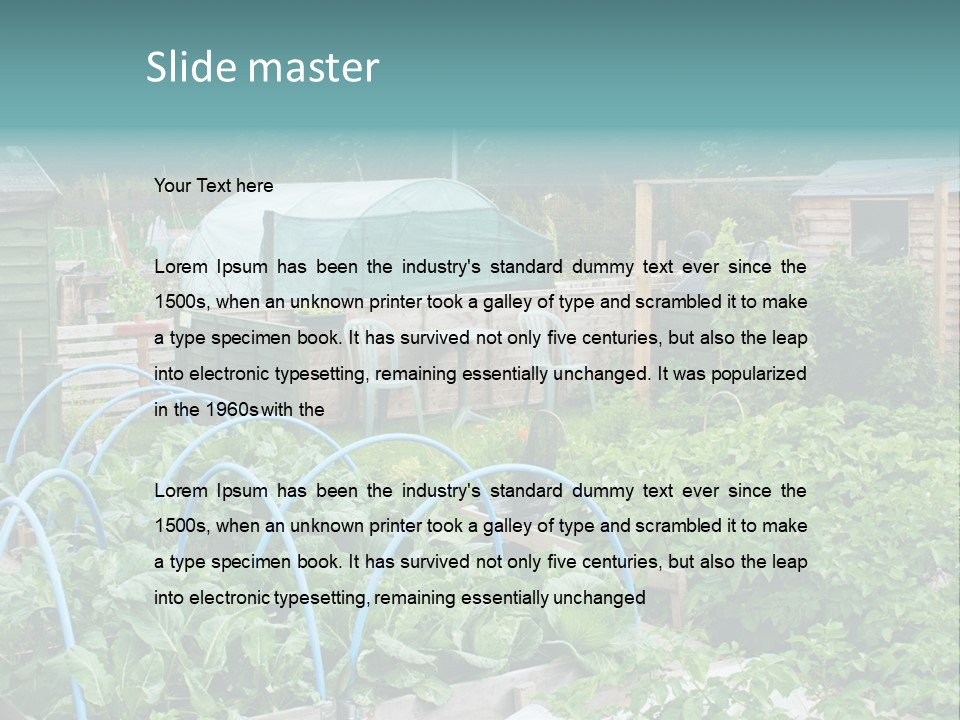 A Garden Filled With Lots Of Green Plants PowerPoint Template
