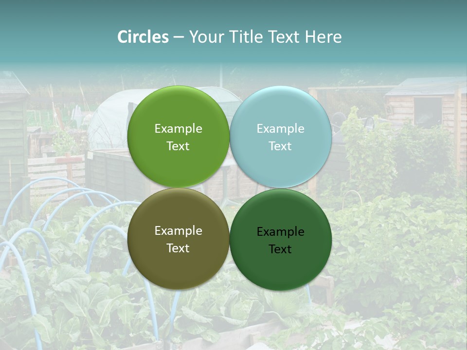A Garden Filled With Lots Of Green Plants PowerPoint Template