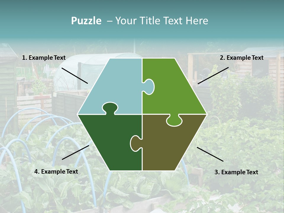 A Garden Filled With Lots Of Green Plants PowerPoint Template