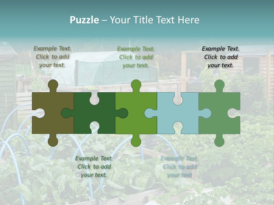 A Garden Filled With Lots Of Green Plants PowerPoint Template