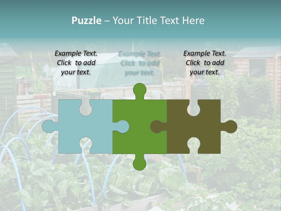 A Garden Filled With Lots Of Green Plants PowerPoint Template