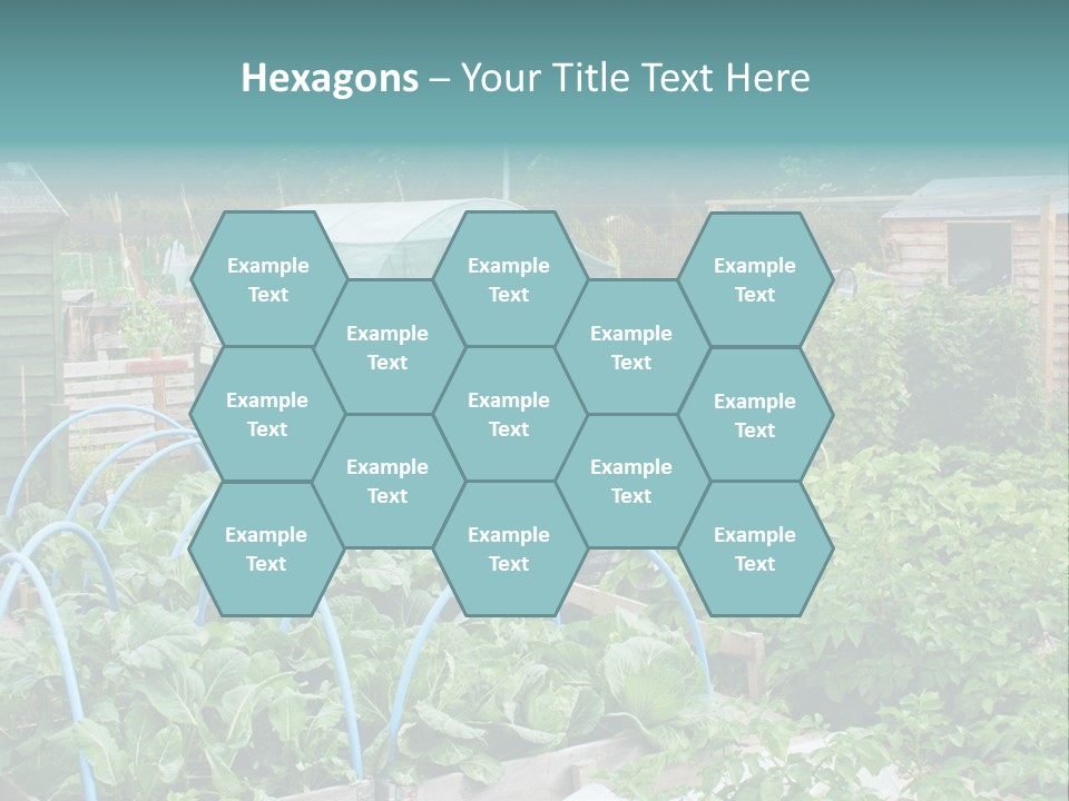 A Garden Filled With Lots Of Green Plants PowerPoint Template