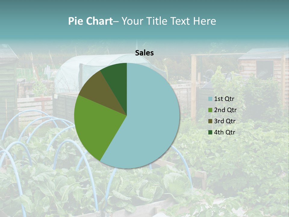 A Garden Filled With Lots Of Green Plants PowerPoint Template