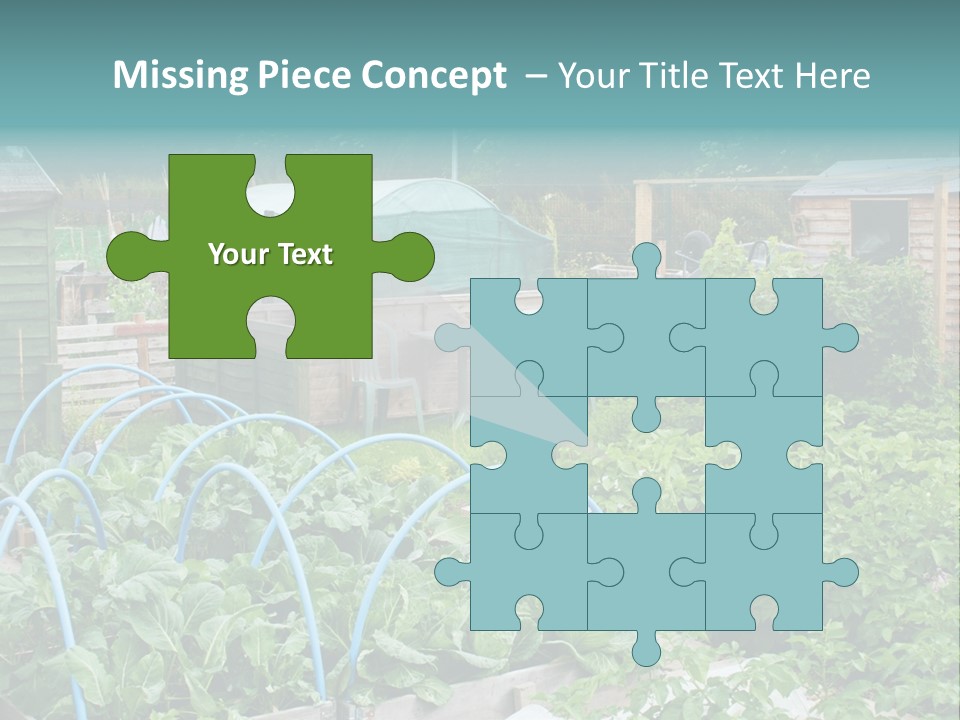 A Garden Filled With Lots Of Green Plants PowerPoint Template