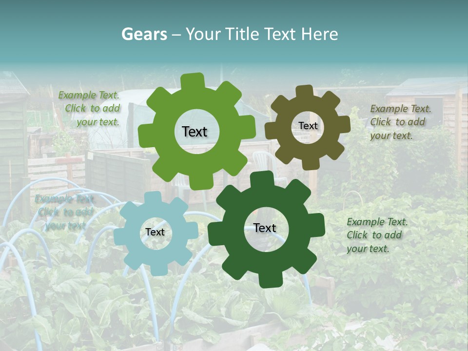 A Garden Filled With Lots Of Green Plants PowerPoint Template