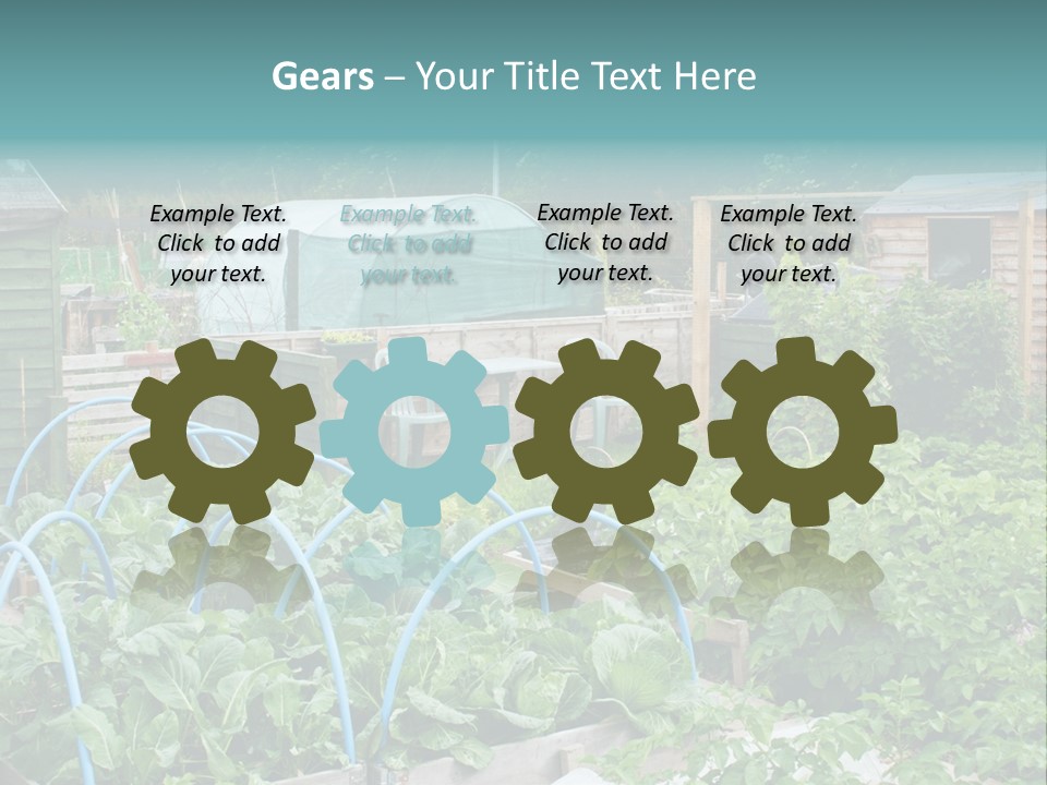 A Garden Filled With Lots Of Green Plants PowerPoint Template