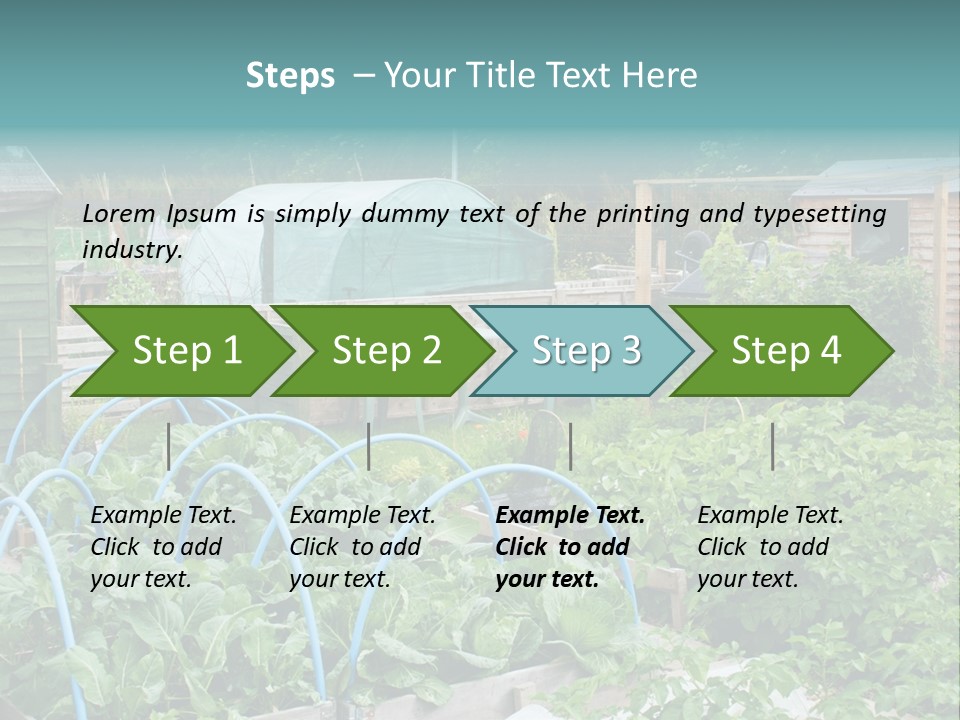 A Garden Filled With Lots Of Green Plants PowerPoint Template