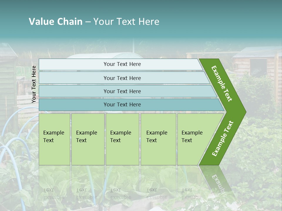 A Garden Filled With Lots Of Green Plants PowerPoint Template