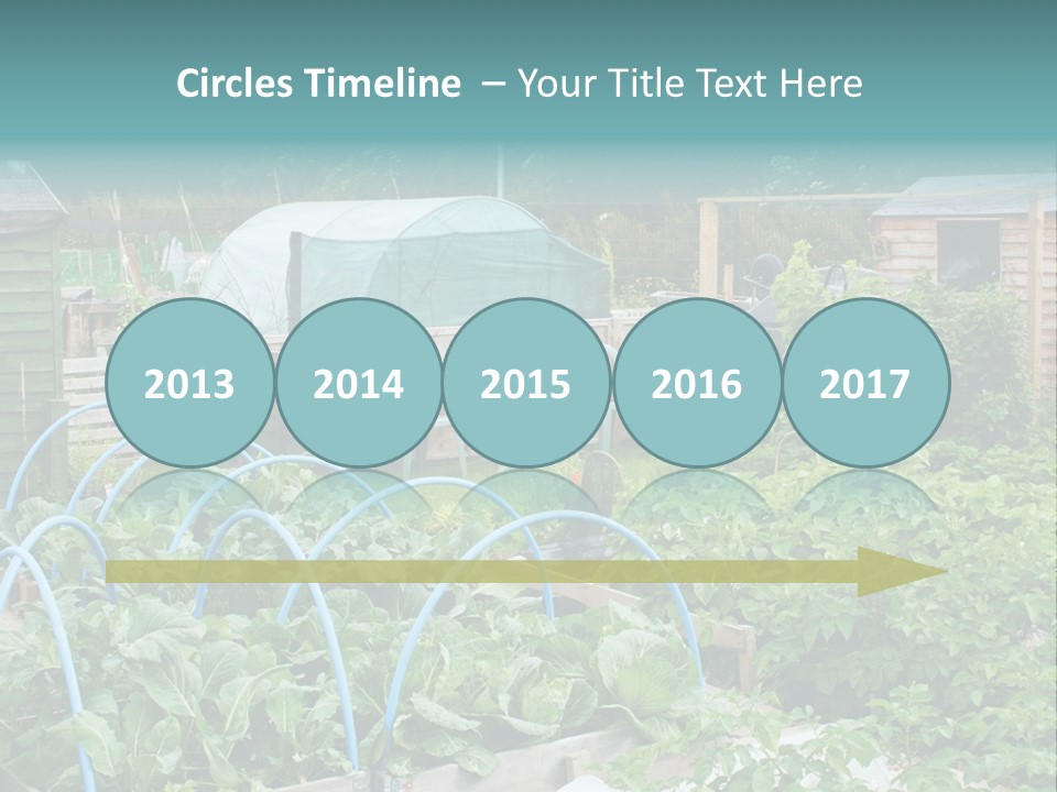 A Garden Filled With Lots Of Green Plants PowerPoint Template