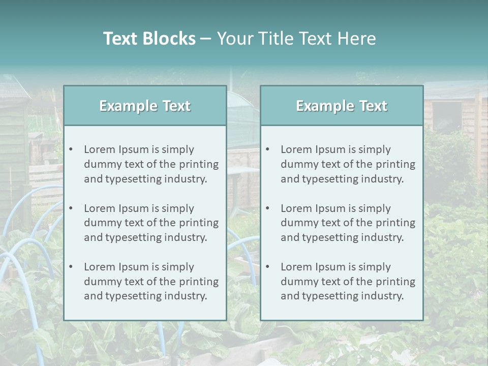 A Garden Filled With Lots Of Green Plants PowerPoint Template