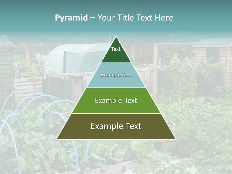 A Garden Filled With Lots Of Green Plants PowerPoint Template