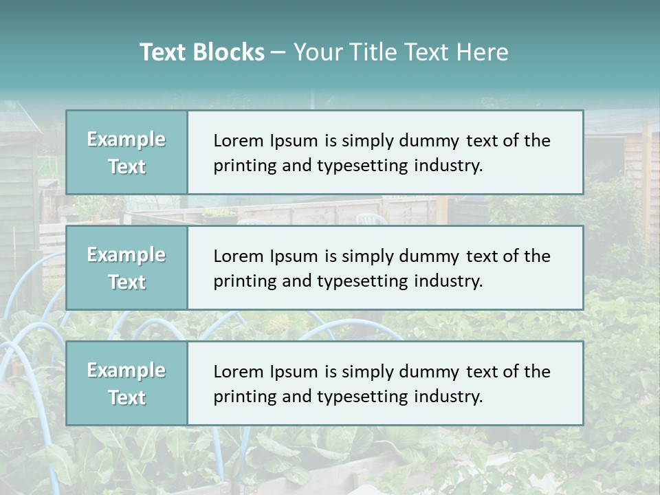 A Garden Filled With Lots Of Green Plants PowerPoint Template
