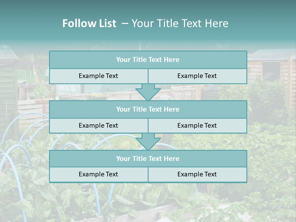 A Garden Filled With Lots Of Green Plants PowerPoint Template