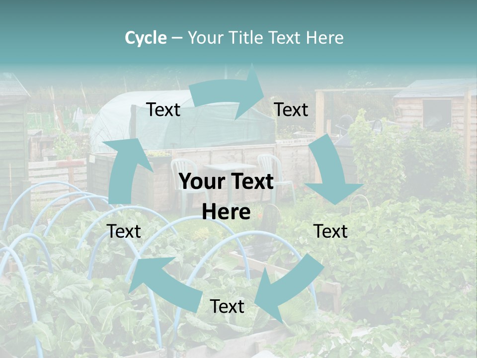 A Garden Filled With Lots Of Green Plants PowerPoint Template