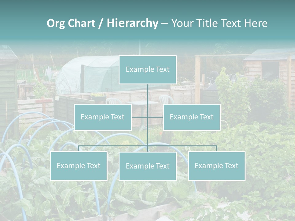 A Garden Filled With Lots Of Green Plants PowerPoint Template