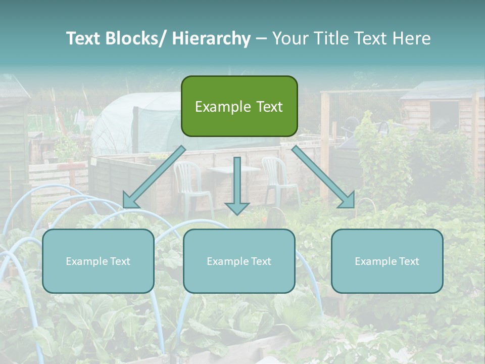 A Garden Filled With Lots Of Green Plants PowerPoint Template