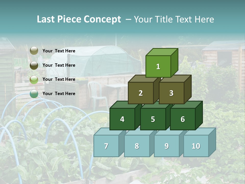 A Garden Filled With Lots Of Green Plants PowerPoint Template