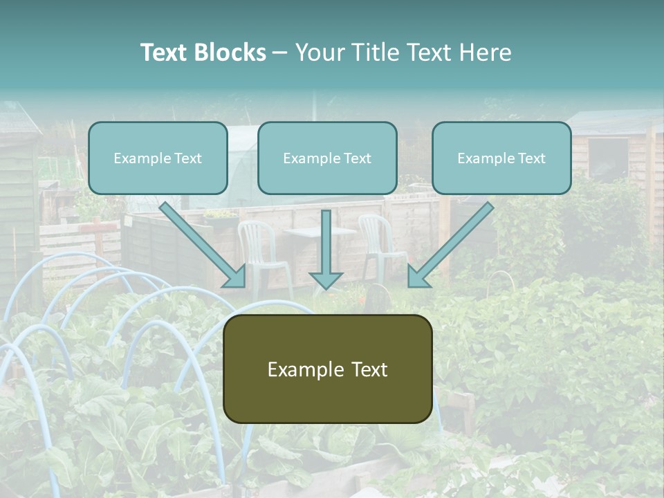 A Garden Filled With Lots Of Green Plants PowerPoint Template