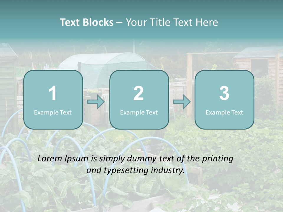 A Garden Filled With Lots Of Green Plants PowerPoint Template