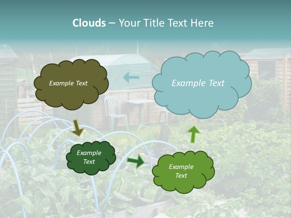 A Garden Filled With Lots Of Green Plants PowerPoint Template