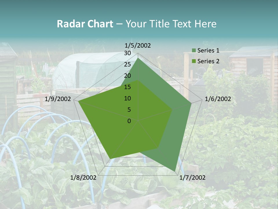 A Garden Filled With Lots Of Green Plants PowerPoint Template