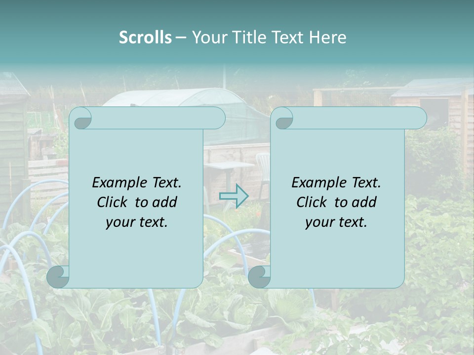 A Garden Filled With Lots Of Green Plants PowerPoint Template