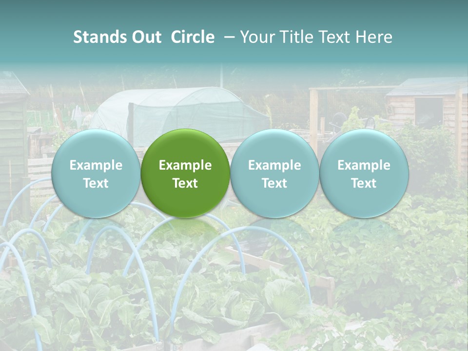 A Garden Filled With Lots Of Green Plants PowerPoint Template