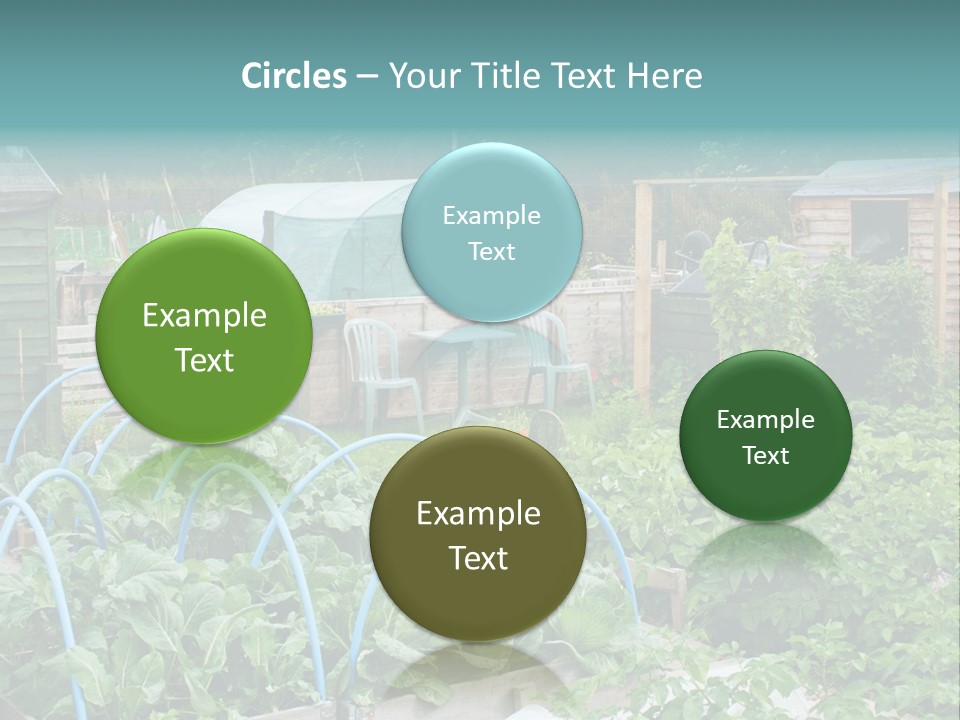 A Garden Filled With Lots Of Green Plants PowerPoint Template