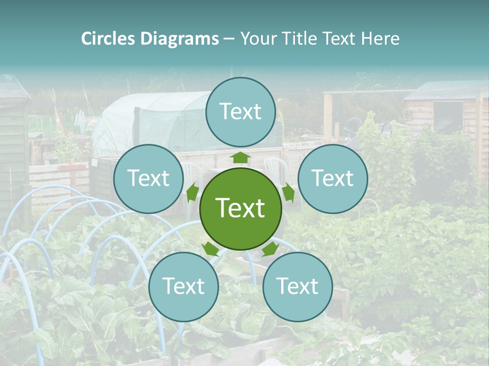 A Garden Filled With Lots Of Green Plants PowerPoint Template