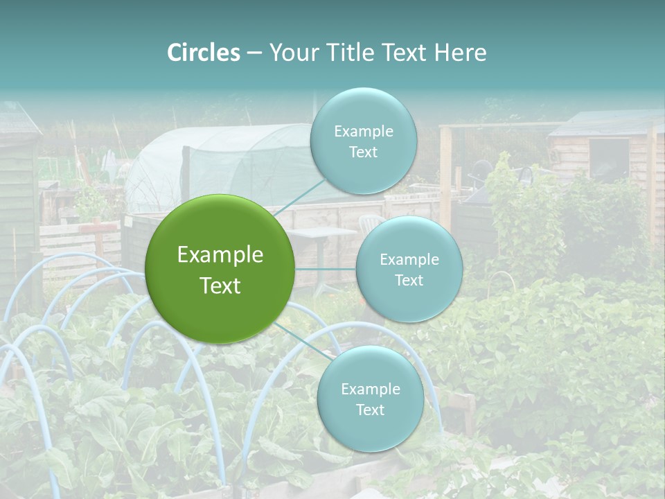 A Garden Filled With Lots Of Green Plants PowerPoint Template