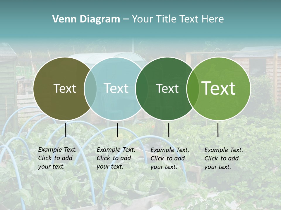 A Garden Filled With Lots Of Green Plants PowerPoint Template