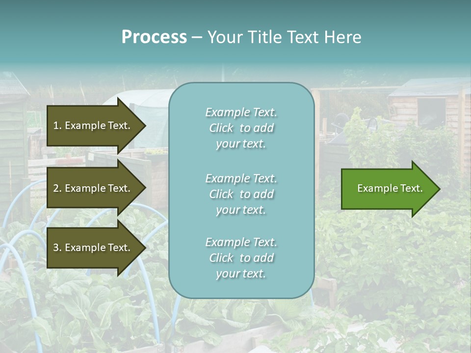 A Garden Filled With Lots Of Green Plants PowerPoint Template