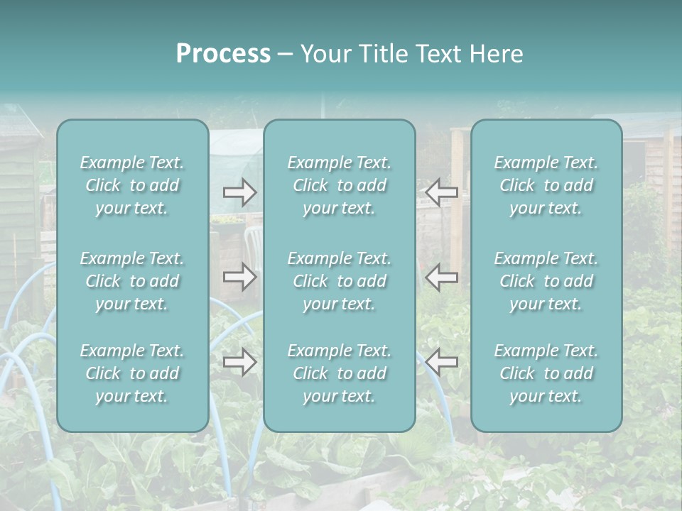 A Garden Filled With Lots Of Green Plants PowerPoint Template