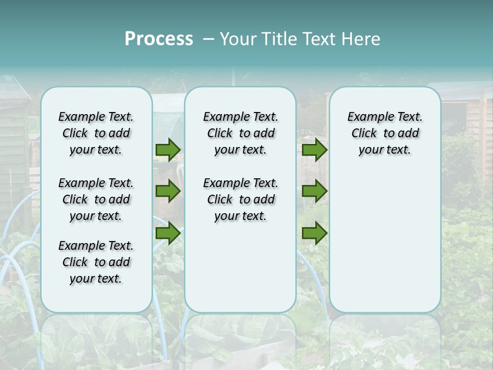 A Garden Filled With Lots Of Green Plants PowerPoint Template