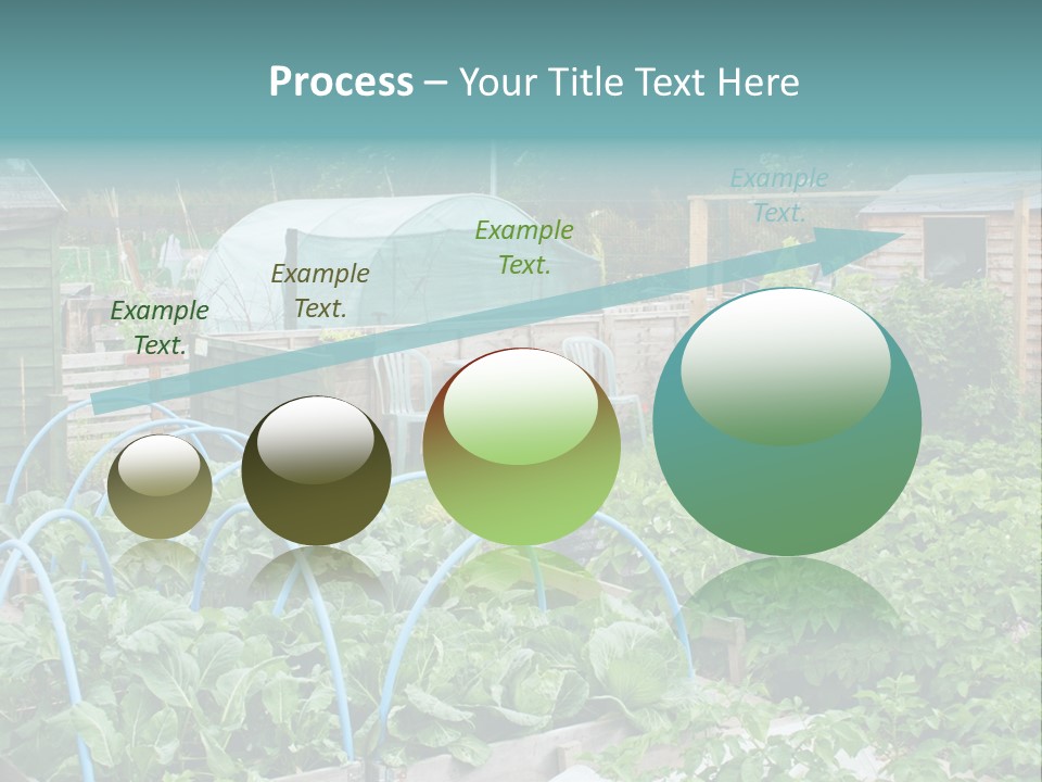A Garden Filled With Lots Of Green Plants PowerPoint Template