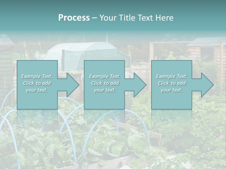 A Garden Filled With Lots Of Green Plants PowerPoint Template