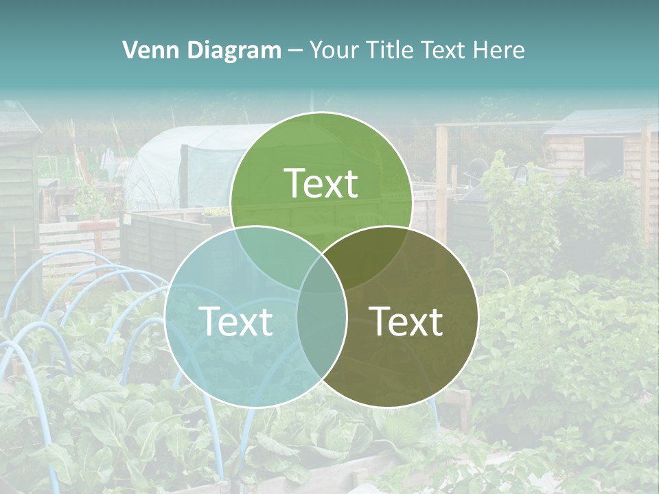 A Garden Filled With Lots Of Green Plants PowerPoint Template