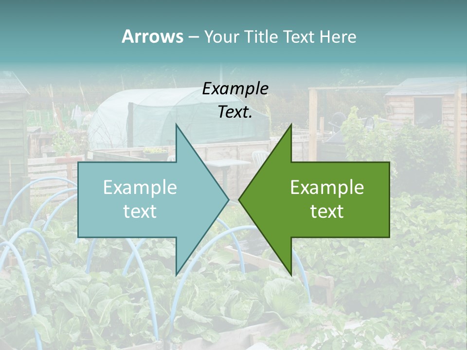 A Garden Filled With Lots Of Green Plants PowerPoint Template