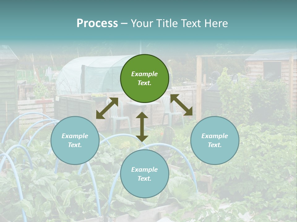 A Garden Filled With Lots Of Green Plants PowerPoint Template