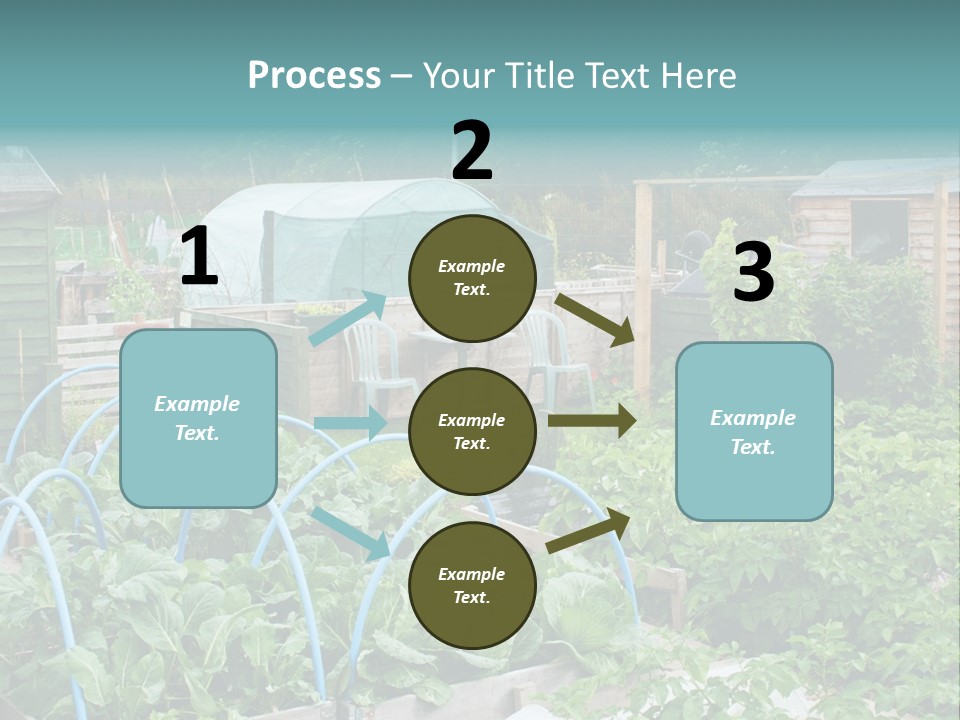A Garden Filled With Lots Of Green Plants PowerPoint Template