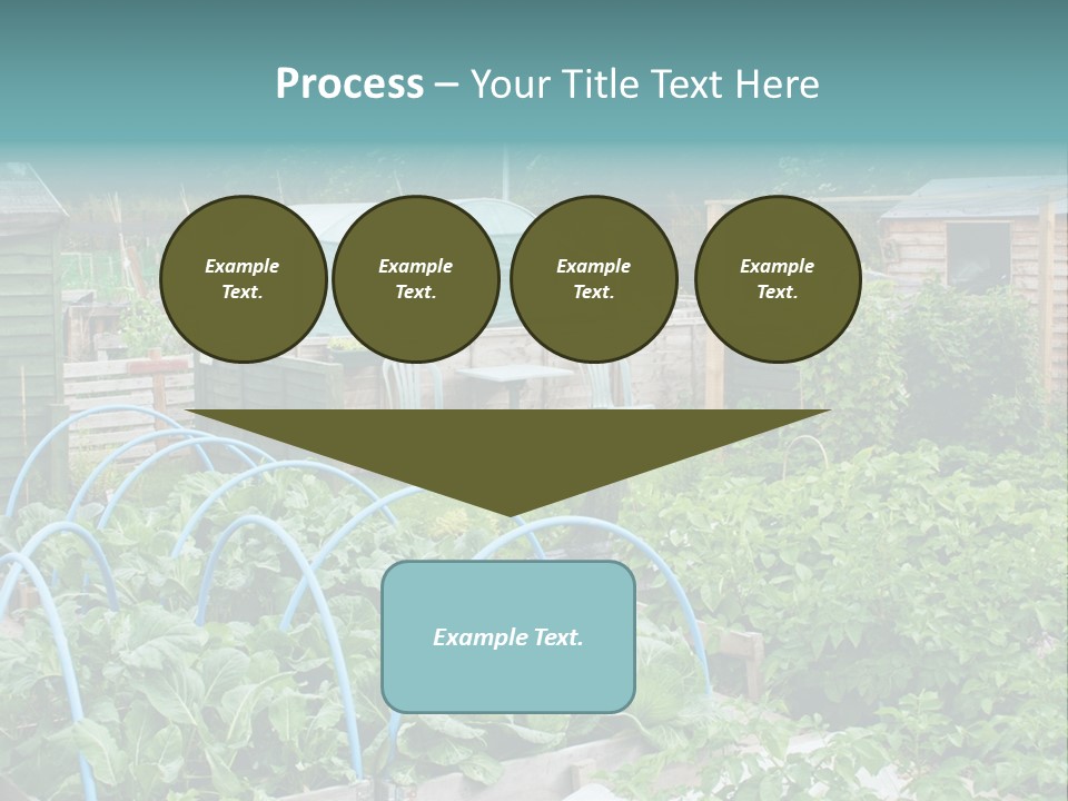 A Garden Filled With Lots Of Green Plants PowerPoint Template