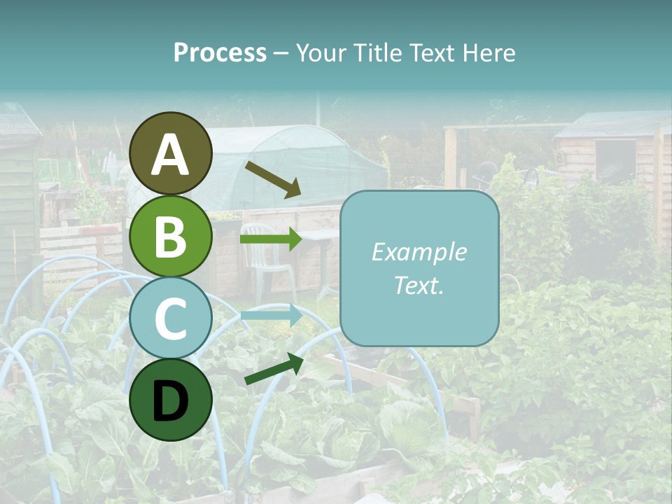 A Garden Filled With Lots Of Green Plants PowerPoint Template