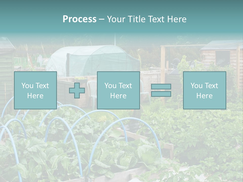 A Garden Filled With Lots Of Green Plants PowerPoint Template